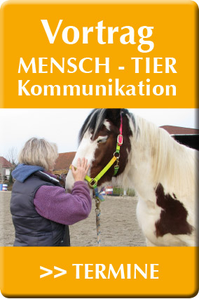 tl_files/heilwissen_mensch_tier/Inhalt/Vortrag-Tierkommunikation-Seminar-Button2.jpg